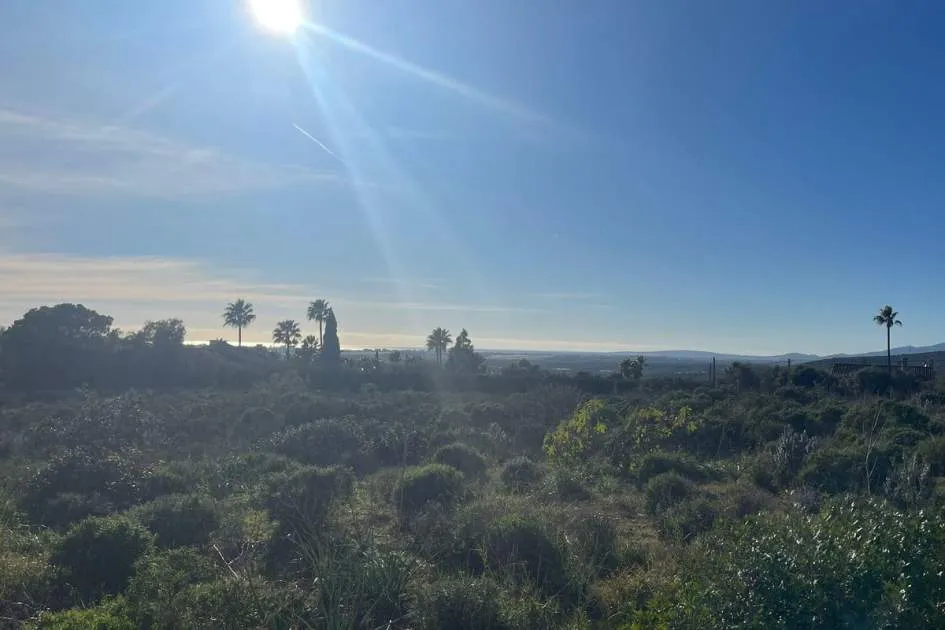 Plot with project and license. Unique views.