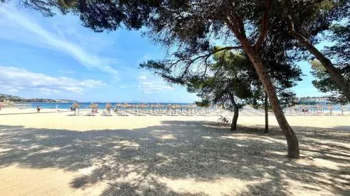 A compact and bright apartment with a spacious terrace, located within walking distance of the picturesque Palmanova beach