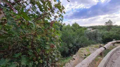 Building plot with project and licence in Portals Nous with open green views across the valley Building plot with project and licence in Portals Nous with open green views across the valley