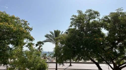 Spacious apartment with sea views in Palmanova.