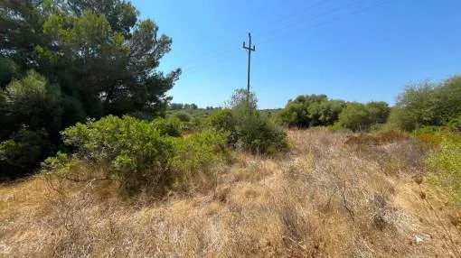 Urban plot of 800m2 in Cala Mendía.
