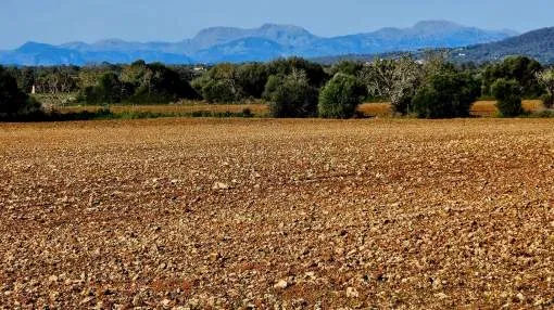Two Adjacent Building Plots in an Idyllic Location – Mallorca, between Manacor, Felanitx and Porreres