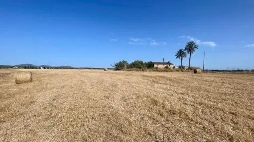 Rustic land with existing construction in need of refurbishment near Campos for sale Rustic land with existing construction in need of refurbishment near Campos for sale