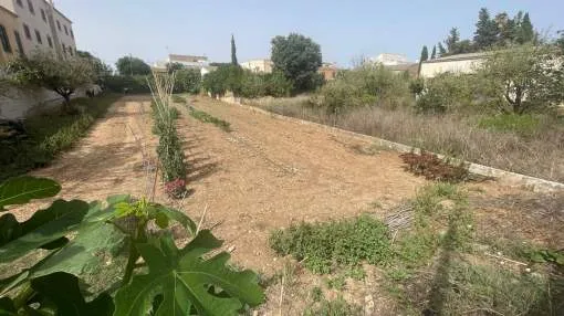 Urban building plot in Cas Concos for sale