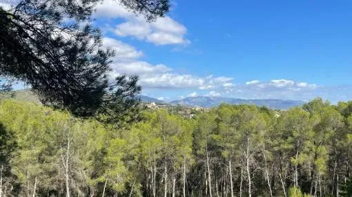 Exclusive Plot in Son Vida with Mountain and Panoramic Views