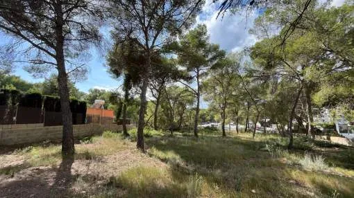 Buildable land in the Marina with sea views in Santa Ponsa.