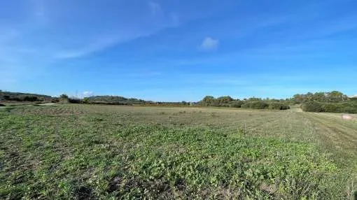 Building plot in a very peaceful and natural environment with building license near Muro