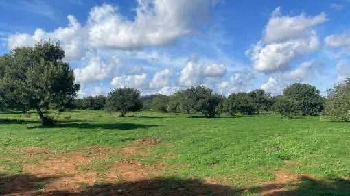 One of 5 exclusive luxury villas on rural land with building permit as major investment or individually