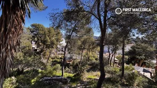 Plot for Sale in Paguera - 1,500 m² Within Walking Distance to the Sea