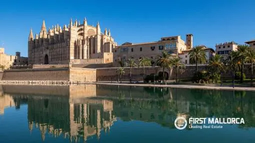 A Timeless Oasis in the Heart of Palma