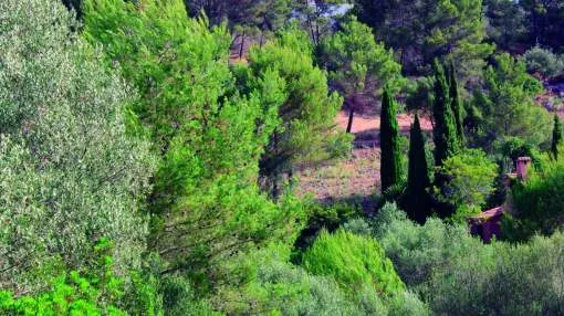 Plot of land in a very fantastic exclusive area - Calvia