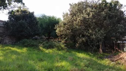 Building plot close to the beach in Cala San Vicente Building plot close to the beach in Cala San Vicente