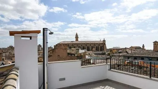 Extensively renovated duplex penthouse with roof terrace in city centre Extensively renovated duplex penthouse with roof terrace in city centre