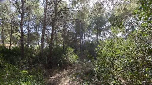 1.226 m² of building plot in a tranquil coastal area 1.226 m² of building plot in a tranquil coastal area