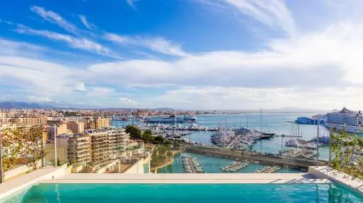 Excellent duplex penthouse with private pool in top location Excellent duplex penthouse with private pool in top location