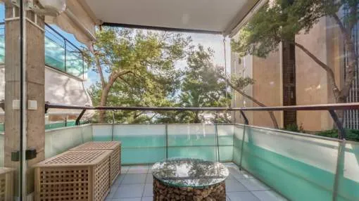 2-bedroom-apartment in front line complex to rent 2-bedroom-apartment in front line complex to rent