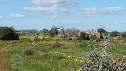 Spacious building plot with project for a large finca between Santanyí and Cala Llombards