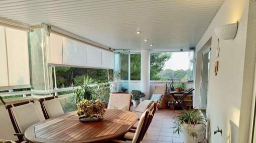 Spacious Apartment in Maioris , Mallorca – Large Terrace, South Facing 